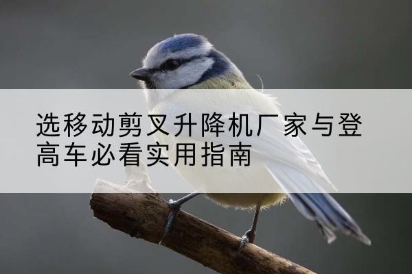 浚县电动升降机厂家-选移动剪叉升降机厂家与登高车必看实用指南