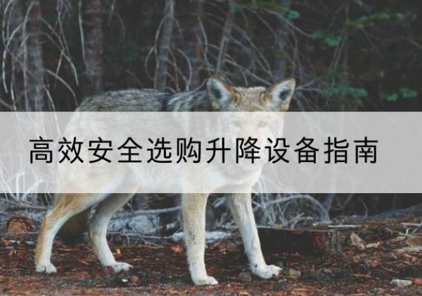浚县升降货梯厂家推荐-*安全选购升降设备指南