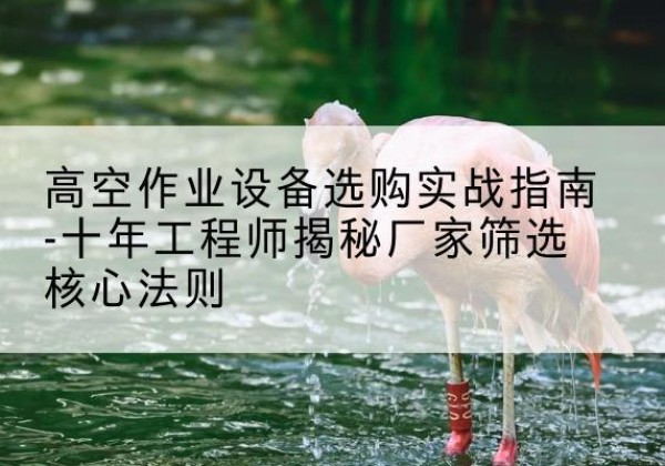 浚县剪叉式升降机厂家-高空作业设备选购实战指南-十年工程师揭秘厂家筛选核心法则